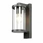 Уличный настенный светильник Favourite Lukturis 3038-1W - фото №1
