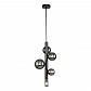 Подвесная люстра Indigo Canto 11026/5P Black V000238 - фото №1