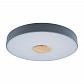 Потолочный светодиодный светильник Loft IT Axel 10003/24 grey - фото №1