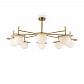 Потолочная люстра Freya Camelia FR5202PL-08BS - фото №1