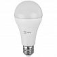 Лампа светодиодная ЭРА E27 30W 6000K матовая LED A65-30W-860-E27 Б0048017 - фото №1