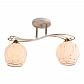 Потолочная люстра Milosh Tendence 0670CL-2WH - фото №1