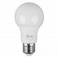 Лампа светодиодная ЭРА E27 11W 6000K матовая LED A60-11W-860-E27 Б0031394 - фото №1