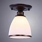 Потолочный светильник Arte Lamp Bonito A9518PL-1BA - фото №2