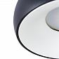 Потолочный светильник Arte Lamp Heze A6665PL-1BK - фото №2
