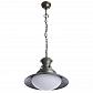 Подвесной светильник Arte Lamp Gambrinus A9256SP-1BG - фото №1