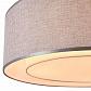 Потолочный светильник Maytoni Bergamo MOD613CL-04GR - фото №2
