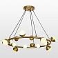 Подвесная светодиодная люстра Lussole Loft Coosa LSP-8643 - фото №1