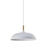 Подвесной светильник Moderli Hygo V1330-P