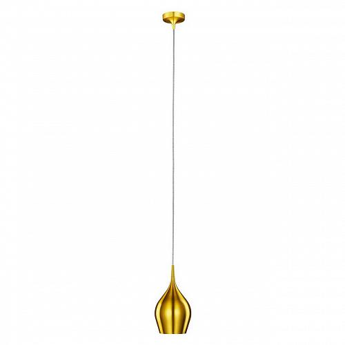 Подвесной светильник Arte Lamp Vibrant A6412SP-1GO