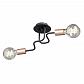 Потолочная люстра Vitaluce V4560-1/2PL - фото №1