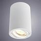 Потолочный светильник Arte Lamp A1560PL-1WH - фото №2