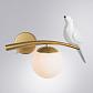 Бра Arte Lamp Eltanin A3422AP-1GO - фото №3