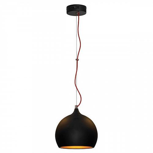 Подвесной светильник Lussole Loft GRLSN-6116-01