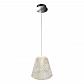 Подвесной светодиодный светильник iLedex Flora WD8007-1 CR - фото №3