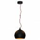 Подвесной светильник Lussole Loft GRLSN-6116-01 - фото №1