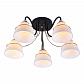 Потолочная люстра Rivoli Karola 9019-305 Б0049206 - фото №1