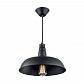 Подвесной светильник Citilux Эдисон CL450204 - фото №1