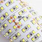 Светодиодная лента Apeyron 38W/m 240LED/m 2835SMD холодный белый 5M 00-305 - фото №8