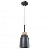 Подвесной светильник Loft IT Watchman Loft4402A-Bl