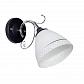 Бра Wedo Light Роберта 65794.02.13.01 - фото №1