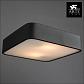 Потолочный светильник Arte Lamp Cosmopolitan A7210PL-2BK - фото №3