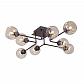 Потолочная люстра Vitaluce V47950-13/8PL - фото №1
