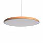 Подвесной светодиодный светильник Loft IT Plato 10119 Orange - фото №2