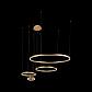 Подвесной светодиодный светильник Loft IT Ring 10017/4S - фото №4