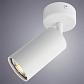 Спот Arte Lamp A3216PL-1WH - фото №2