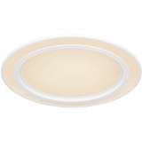 Потолочный светодиодный светильник Globo Dahla 48549-35