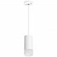 Подвесной светильник Lightstar Rullo (214436+590056+202431) RP43631 - фото №1