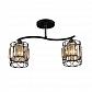 Потолочная люстра Milosh Tendence 0444CL-2BK - фото №1