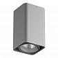 Потолочный светильник Lightstar Monocco 212539 - фото №1
