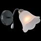 Бра Illumico IL0040-1WSQ-79 BK AB - фото №1
