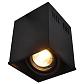Потолочный светильник Arte Lamp Cardani A5942PL-1BK - фото №1
