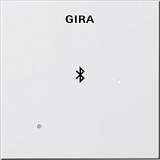 Лицевая панель Gira System 55 для вставки док-станции чисто-белый глянцевый 228803