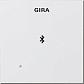 Лицевая панель Gira System 55 для вставки док-станции чисто-белый глянцевый 228803 - фото №1