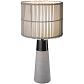 Настольная лампа Globo Pantani 24139T - фото №1