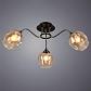 Потолочная люстра Arte Lamp Monica A3831PL-3AB - фото №4