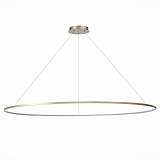 Подвесной светодиодный светильник ST Luce Erto SL904.243.01