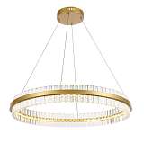 Подвесной светодиодный светильник ST Luce Cherio SL383.223.01