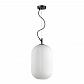 Подвесной светильник Odeon Light Roofi 4752/1 - фото №1