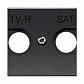Лицевая панель ABB Zenit розетки TV-R-SAT антрацит 2CLA225010N1801 - фото №1
