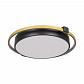Потолочный светодиодный светильник Loft IT Mike 10170 - фото №1