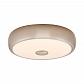 Потолочный светодиодный светильник Citilux Фостер-3 CL706321 - фото №1