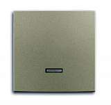 Лицевая панель ABB 2CKA006599A2993