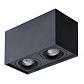 Потолочный светильник Arte Lamp Factor A5544PL-2BK - фото №1