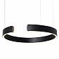 Подвесной светодиодный светильник Loft IT Ring 10025/400 Black - фото №3