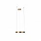 Подвесной светодиодный светильник Loft IT Ring 10013S - фото №4